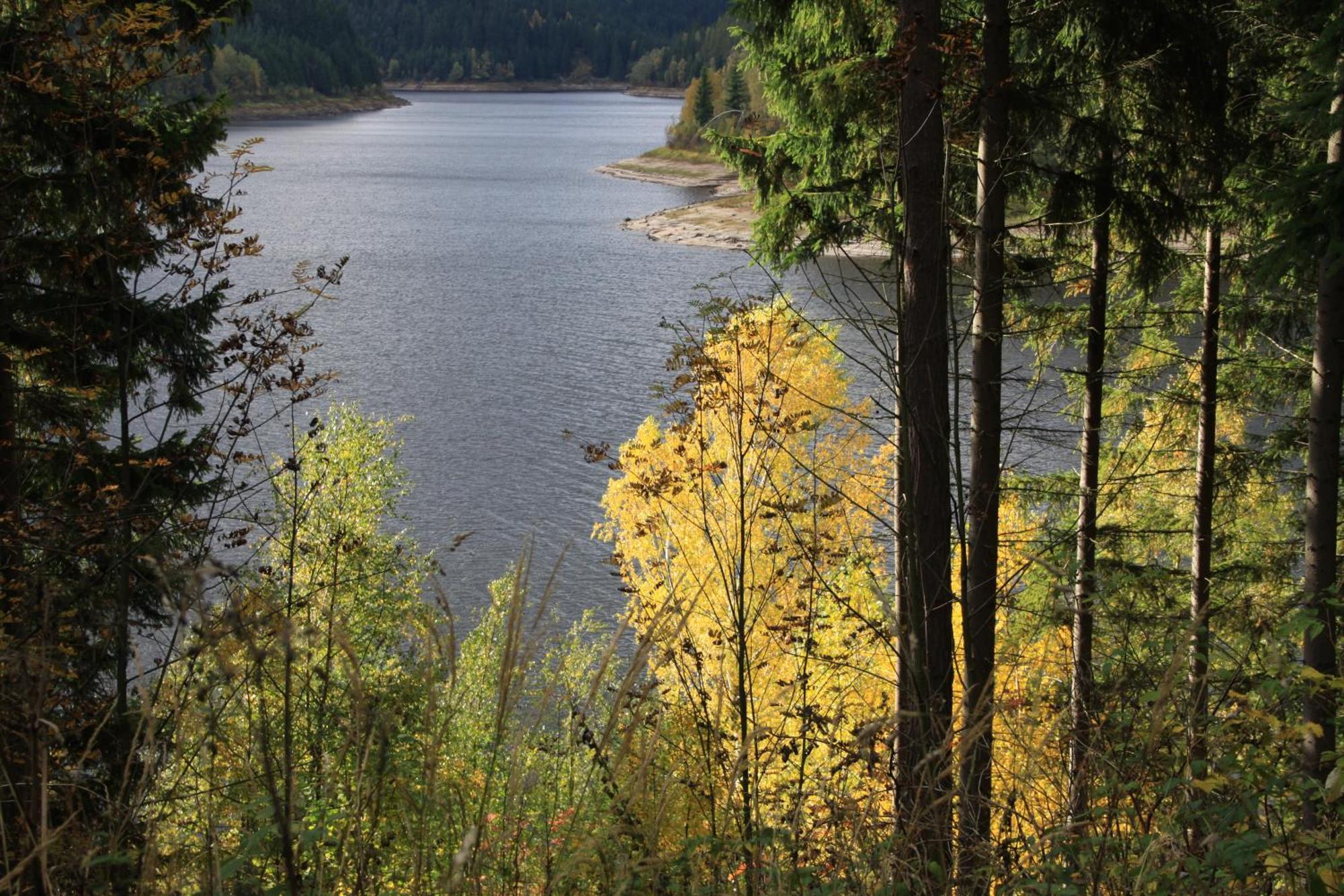 Das Jagdhaus Waldidyll Erzgebirge Hartenstein  Eksteriør billede